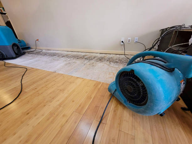 Professional Sewage Cleanup technician working in Hanover, CT